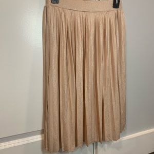 Charlotte Russe skirt NWOT